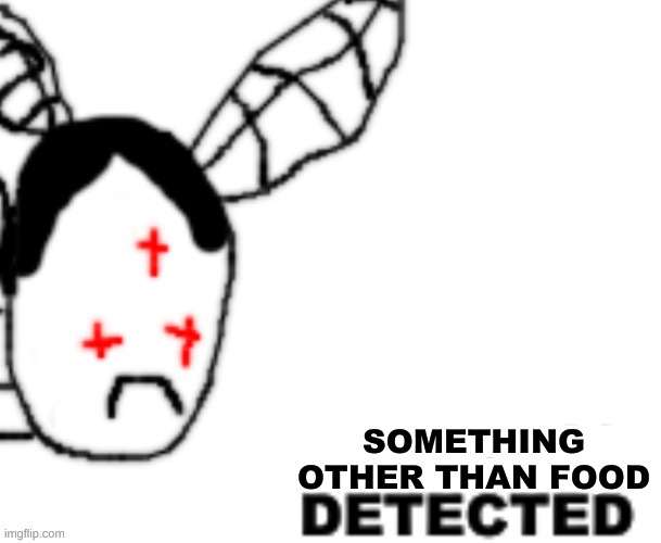 BLANK DETECTED | SOMETHING OTHER THAN FOOD | image tagged in blank detected | made w/ Imgflip meme maker