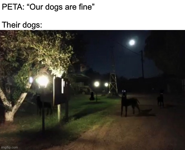 Zombo | PETA: “Our dogs are fine”
 
Their dogs: | image tagged in funny,memes,dogs,peta | made w/ Imgflip meme maker