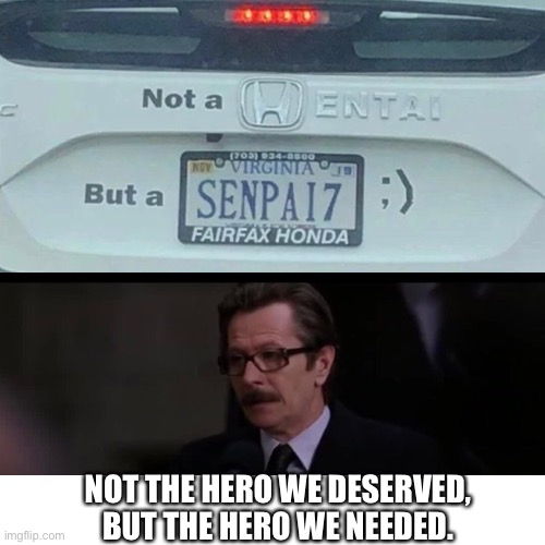 NOT THE HERO WE DESERVED, BUT THE HERO WE NEEDED. | image tagged in gordon | made w/ Imgflip meme maker