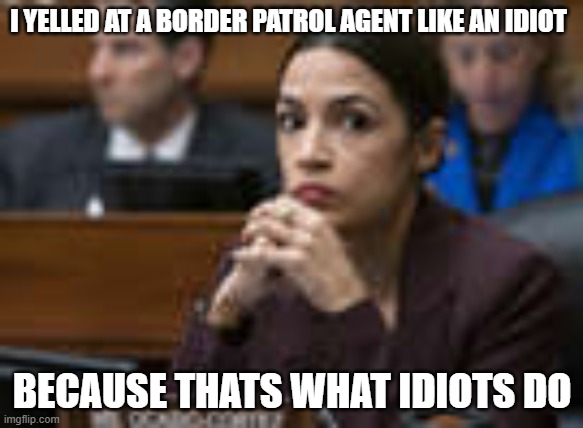 she crazy | I YELLED AT A BORDER PATROL AGENT LIKE AN IDIOT; BECAUSE THATS WHAT IDIOTS DO | image tagged in aoc,crazy aoc,nancy pelosi,crying democrats | made w/ Imgflip meme maker