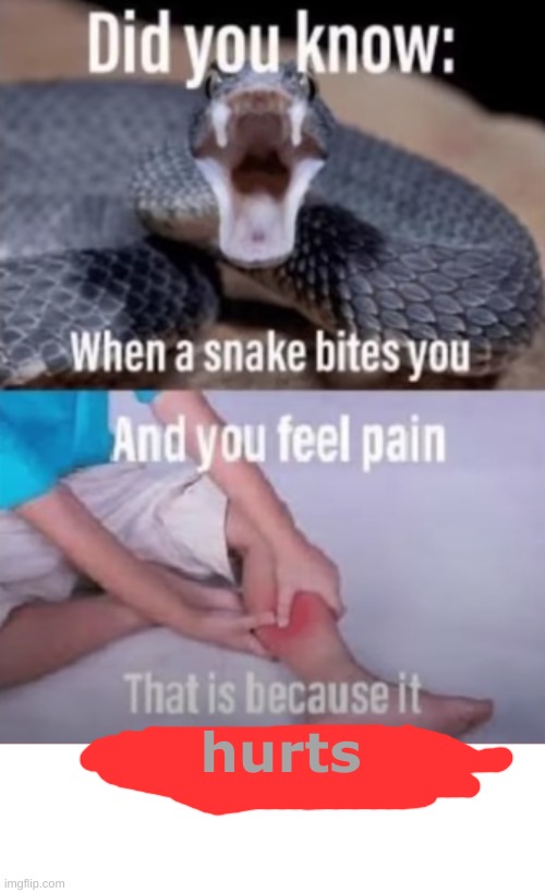 #technicallytruth | hurts | image tagged in solid snake | made w/ Imgflip meme maker