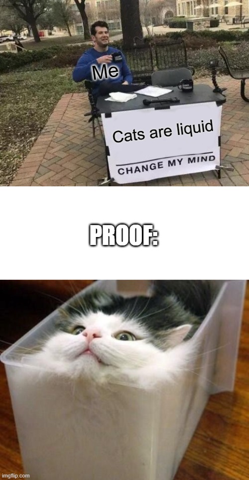 Me; Cats are liquid; PROOF: | image tagged in memes,change my mind | made w/ Imgflip meme maker