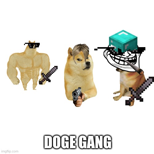 doge gang | DOGE GANG | image tagged in memes | made w/ Imgflip meme maker