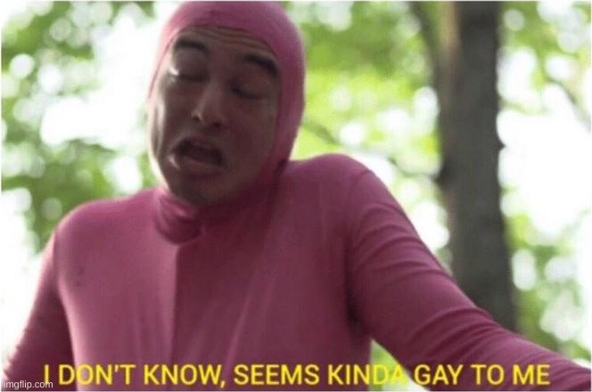 I Don't Know, Seems Kinda Gay To Me | image tagged in i don't know seems kinda gay to me | made w/ Imgflip meme maker