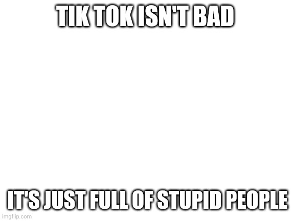 IT'S THE TRUTH | TIK TOK ISN'T BAD; IT'S JUST FULL OF STUPID PEOPLE | image tagged in blank white template | made w/ Imgflip meme maker