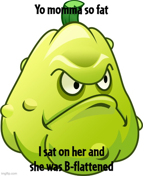 PvZ squash killed fat mama | Yo momma so fat; I sat on her and she was B-flattened | image tagged in squash,yo momma so fat | made w/ Imgflip meme maker