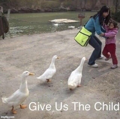 them ducks be taking over | image tagged in duck,ussr | made w/ Imgflip meme maker