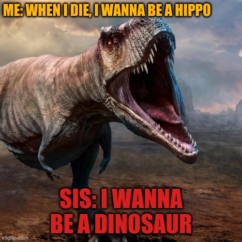 When I Die I Wanna Be: | ME: WHEN I DIE, I WANNA BE A HIPPO; SIS: I WANNA BE A DINOSAUR | image tagged in funny | made w/ Imgflip meme maker