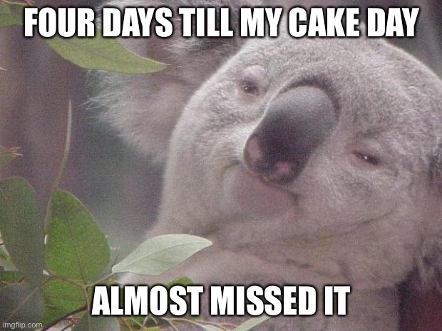 wipes brow* | FOUR DAYS TILL MY CAKE DAY; ALMOST MISSED IT | image tagged in dank koala,msmg | made w/ Imgflip meme maker