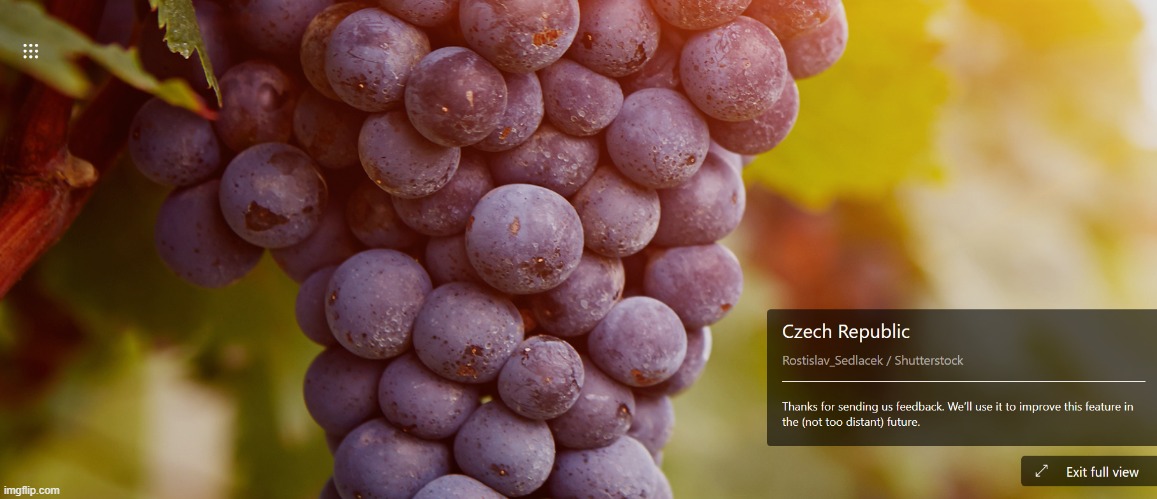Randomly generated background pic from the Czech Republic. (G R A P E S) | made w/ Imgflip meme maker