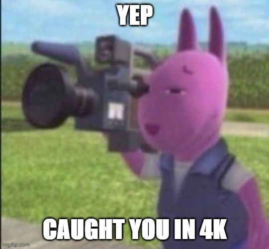 Caught in 4k | YEP CAUGHT YOU IN 4K | image tagged in caught in 4k | made w/ Imgflip meme maker