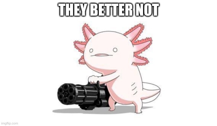 Axolotl gun | THEY BETTER NOT | image tagged in axolotl gun | made w/ Imgflip meme maker
