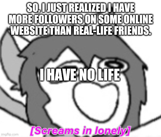 E | SO, I JUST REALIZED I HAVE MORE FOLLOWERS ON SOME ONLINE WEBSITE THAN REAL-LIFE FRIENDS. I HAVE NO LIFE | image tagged in e | made w/ Imgflip meme maker