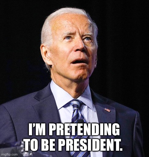 Joe Biden | I’M PRETENDING TO BE PRESIDENT. | image tagged in joe biden | made w/ Imgflip meme maker