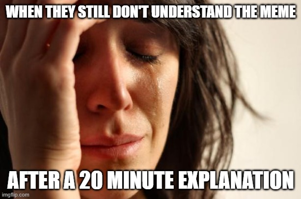 First World Problems Meme | WHEN THEY STILL DON'T UNDERSTAND THE MEME AFTER A 20 MINUTE EXPLANATION | image tagged in memes,first world problems | made w/ Imgflip meme maker