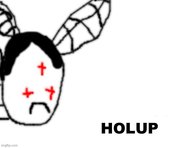 BLANK DETECTED | HOLUP | image tagged in blank detected | made w/ Imgflip meme maker