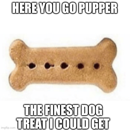 HERE YOU GO PUPPER THE FINEST DOG TREAT I COULD GET | made w/ Imgflip meme maker
