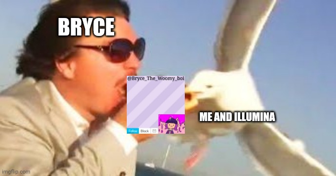 swiping seagull | BRYCE; ME AND ILLUMINA | image tagged in swiping seagull | made w/ Imgflip meme maker