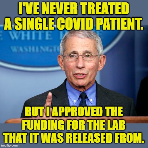 Thanks to PRESIDENT_ELECT_orangemanbad! | I'VE NEVER TREATED A SINGLE COVID PATIENT. BUT I APPROVED THE FUNDING FOR THE LAB THAT IT WAS RELEASED FROM. | image tagged in dr fauci | made w/ Imgflip meme maker