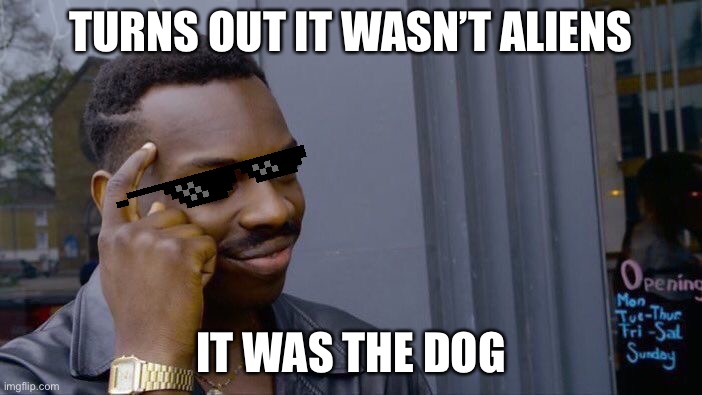 How did nobody figure this out (part two) |  TURNS OUT IT WASN’T ALIENS; IT WAS THE DOG | image tagged in memes,roll safe think about it | made w/ Imgflip meme maker