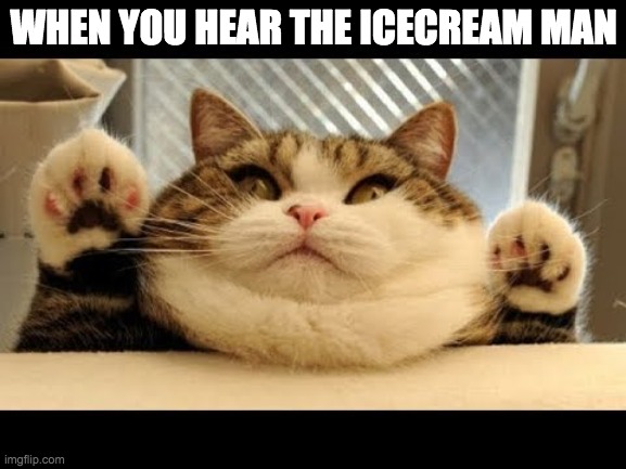 FOT COT | WHEN YOU HEAR THE ICECREAM MAN | image tagged in hey | made w/ Imgflip meme maker