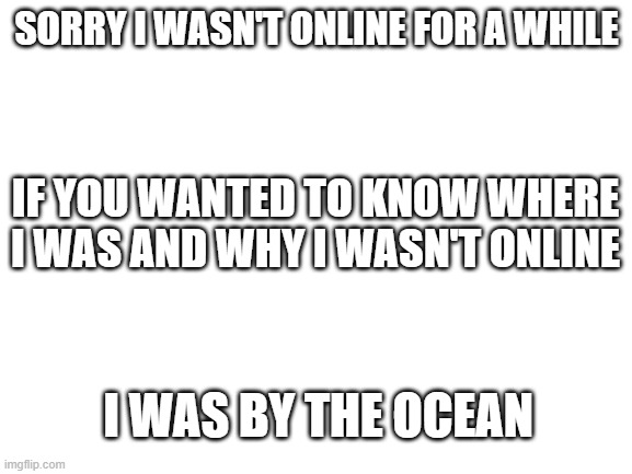 CAKE by the ocean | SORRY I WASN'T ONLINE FOR A WHILE; IF YOU WANTED TO KNOW WHERE I WAS AND WHY I WASN'T ONLINE; I WAS BY THE OCEAN | image tagged in blank white template | made w/ Imgflip meme maker