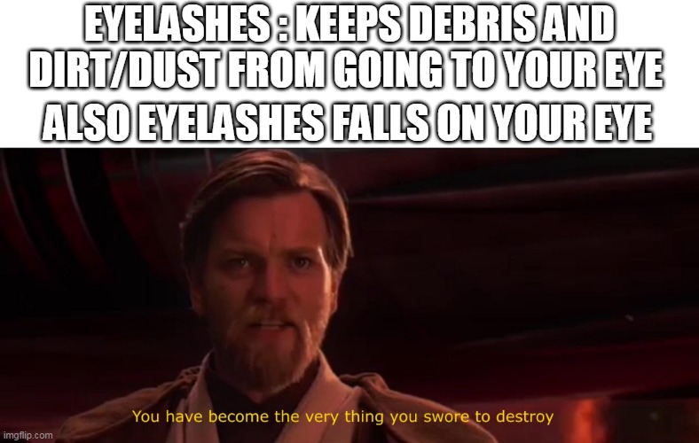 You have become the very thing you swore to destroy | EYELASHES : KEEPS DEBRIS AND DIRT/DUST FROM GOING TO YOUR EYE; ALSO EYELASHES FALLS ON YOUR EYE | image tagged in you have become the very thing you swore to destroy | made w/ Imgflip meme maker