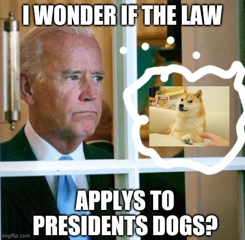Sad biden | I WONDER IF THE LAW; APPLYS TO PRESIDENTS DOGS? | image tagged in sad joe biden | made w/ Imgflip meme maker