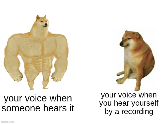 Buff Doge vs. Cheems | your voice when you hear yourself by a recording; your voice when someone hears it | image tagged in memes,buff doge vs cheems,funny,relatable | made w/ Imgflip meme maker