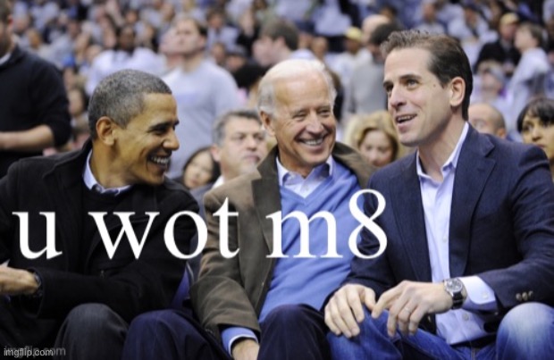 Hunter Biden U Wot M8 | image tagged in hunter biden u wot m8 | made w/ Imgflip meme maker