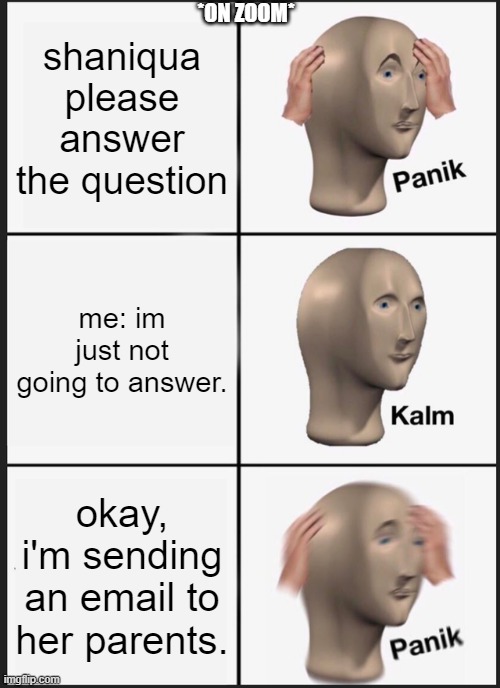 the end. |  *ON ZOOM*; shaniqua please answer the question; me: im just not going to answer. okay, i'm sending an email to her parents. | image tagged in memes,panik kalm panik | made w/ Imgflip meme maker