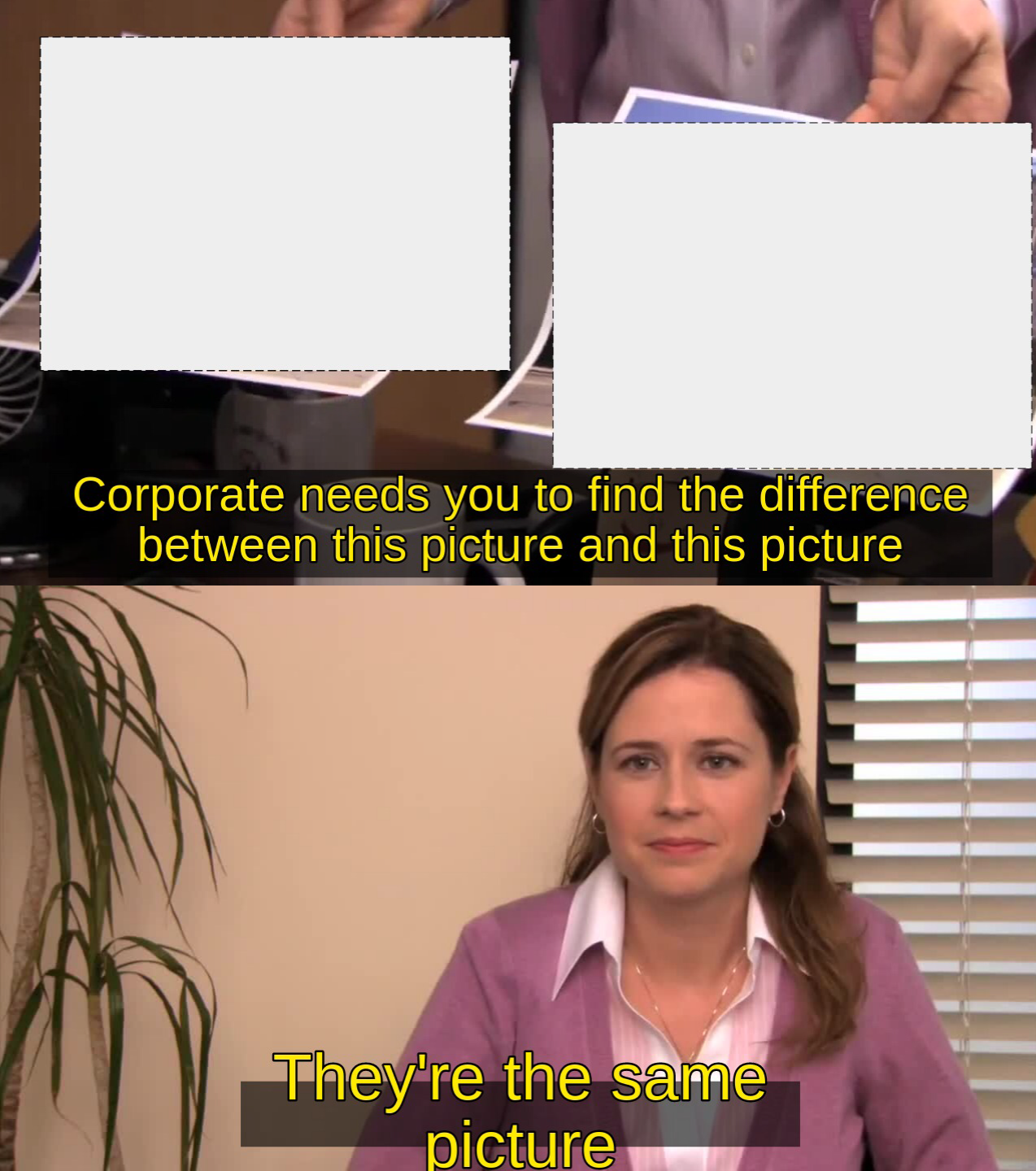 They are the same image Blank Meme Template