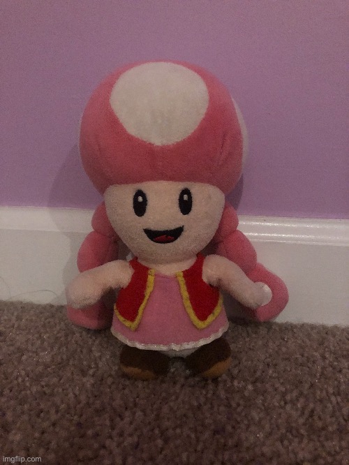 Toadette plush reveal | made w/ Imgflip meme maker