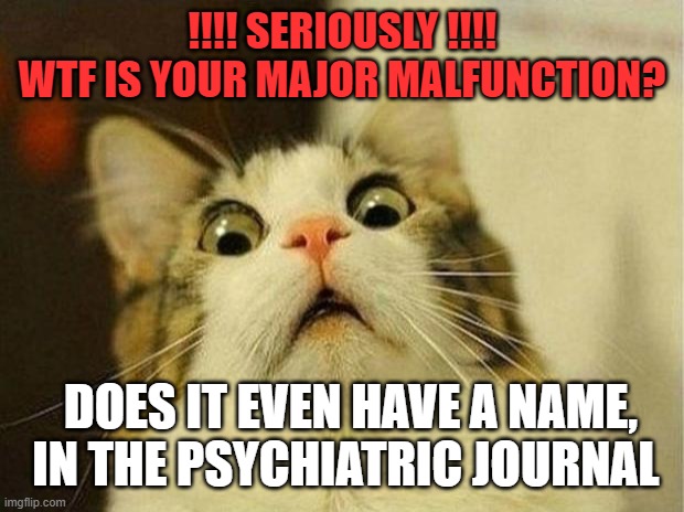 Scared Cat | !!!! SERIOUSLY !!!!
WTF IS YOUR MAJOR MALFUNCTION? DOES IT EVEN HAVE A NAME,
IN THE PSYCHIATRIC JOURNAL | image tagged in memes,scared cat | made w/ Imgflip meme maker