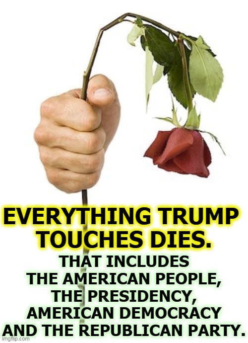 THAT INCLUDES THE AMERICAN PEOPLE, THE PRESIDENCY, AMERICAN DEMOCRACY AND THE REPUBLICAN PARTY. EVERYTHING TRUMP 
TOUCHES DIES. | image tagged in trump,kills,everything,america,democracy,republican party | made w/ Imgflip meme maker