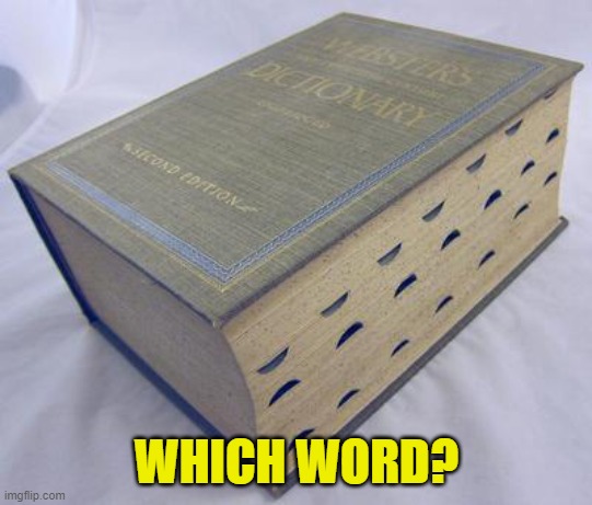 Dictionary | WHICH WORD? | image tagged in dictionary | made w/ Imgflip meme maker