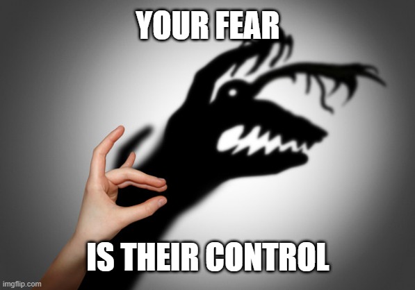 Your Fear Is Their Control | YOUR FEAR; IS THEIR CONTROL | image tagged in fear | made w/ Imgflip meme maker