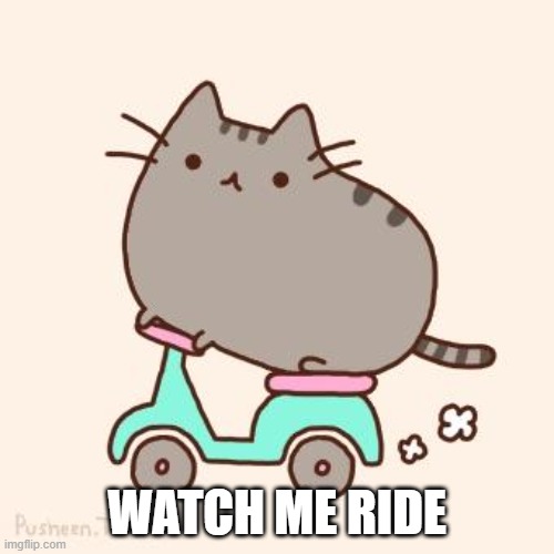 Pusheen Scooter | WATCH ME RIDE | image tagged in pusheen scooter | made w/ Imgflip meme maker