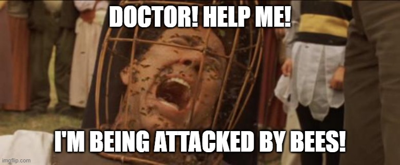 Not the bees | DOCTOR! HELP ME! I'M BEING ATTACKED BY BEES! | image tagged in not the bees | made w/ Imgflip meme maker