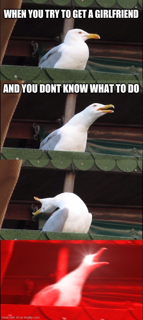 why is this relatable | WHEN YOU TRY TO GET A GIRLFRIEND; AND YOU DONT KNOW WHAT TO DO | image tagged in memes,inhaling seagull | made w/ Imgflip meme maker