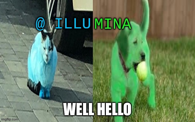 illumina new temp | WELL HELLO | image tagged in illumina new temp | made w/ Imgflip meme maker