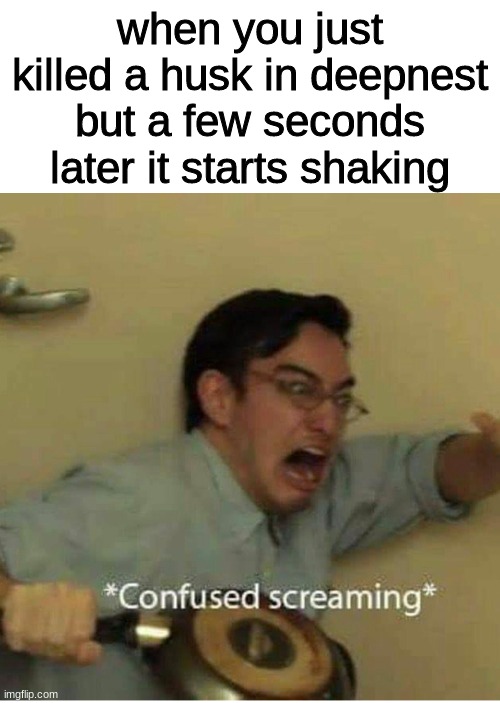 screw you corpse creepers | when you just killed a husk in deepnest but a few seconds later it starts shaking | image tagged in confused screaming | made w/ Imgflip meme maker