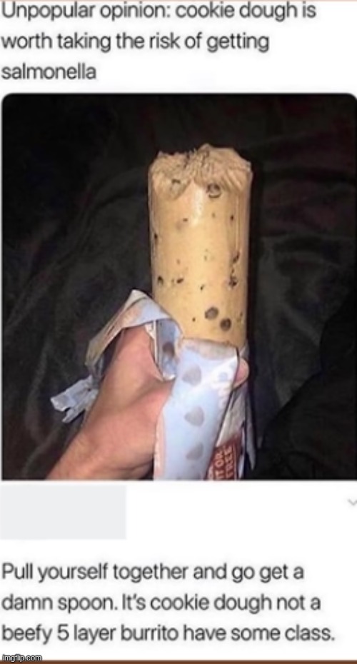 No man with dignity would eat Cookie Dough as a 5-layer burrito. NO man | image tagged in cookie dough,burrito,it came from the comments,and it came true | made w/ Imgflip meme maker