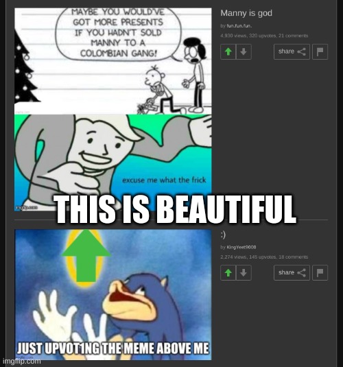 The most beautiful coincidence (plz dont upvote this for any reason, find the original makers and upvote there) | THIS IS BEAUTIFUL | image tagged in memes | made w/ Imgflip meme maker