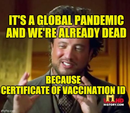 Because Certificate Of Vaccination ID | IT'S A GLOBAL PANDEMIC AND WE'RE ALREADY DEAD; BECAUSE
CERTIFICATE OF VACCINATION ID | image tagged in covid-19,hoax,government corruption,fake news,new world order,media lies | made w/ Imgflip meme maker