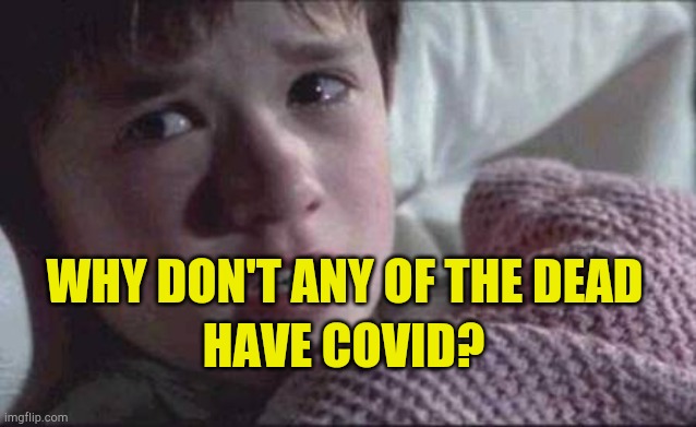 Some People Can't Be Fooled | WHY DON'T ANY OF THE DEAD; HAVE COVID? | image tagged in memes,i see dead people,covid-19,hoax,fake news,bad jab | made w/ Imgflip meme maker