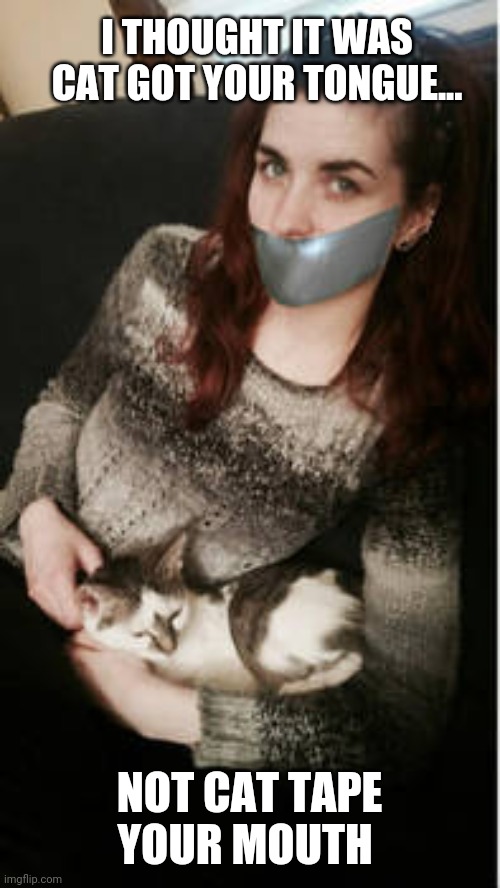I THOUGHT IT WAS CAT GOT YOUR TONGUE... NOT CAT TAPE YOUR MOUTH | image tagged in don't wake the cat | made w/ Imgflip meme maker