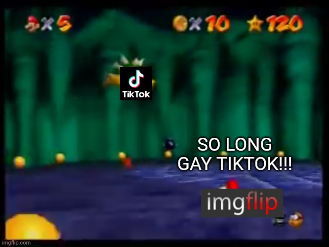 SO LONG GAY TIKTOK!!! | SO LONG GAY TIKTOK!!! | image tagged in memes,so long gay bowser,tiktok sucks,imgflip users,super mario 64 | made w/ Imgflip meme maker