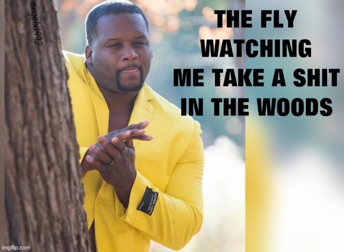 image tagged in fly,shit,flies,forest,anthony adams rubbing hands,shitting in woods | made w/ Imgflip meme maker