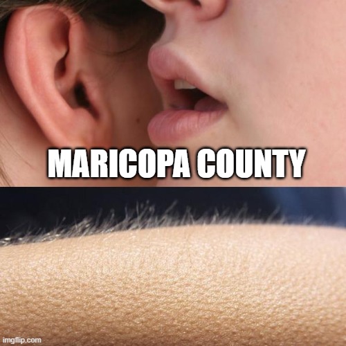 Whisper and Goosebumps |  MARICOPA COUNTY | image tagged in whisper and goosebumps | made w/ Imgflip meme maker